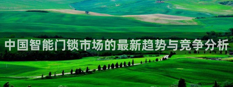 开丰娱乐天7O667：中国智能门锁市场的最新趋势与竞争分析