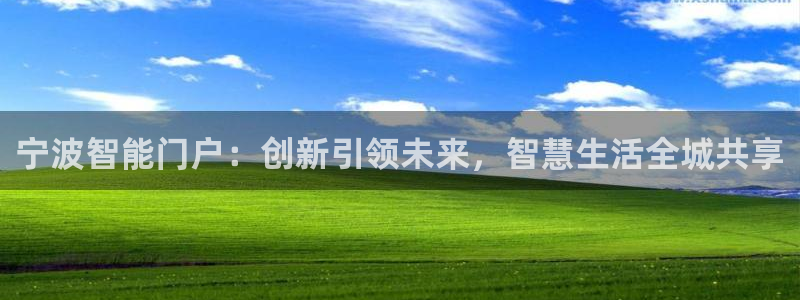 开丰娱乐日：宁波智能门户：创新引领未来，智慧生活全城共享