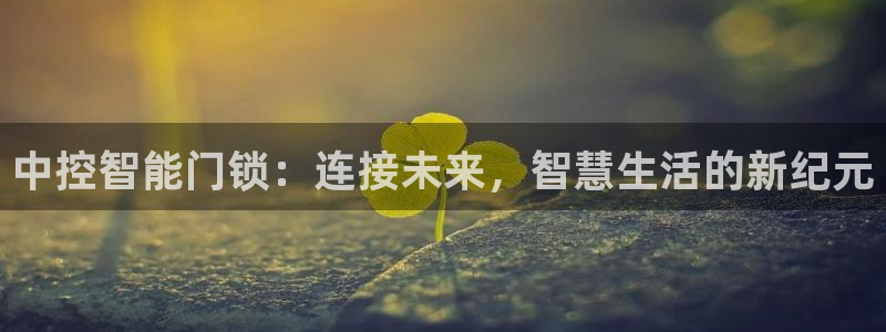开丰娱乐科技：中控智能门锁：连接未来，智慧生活的新纪元