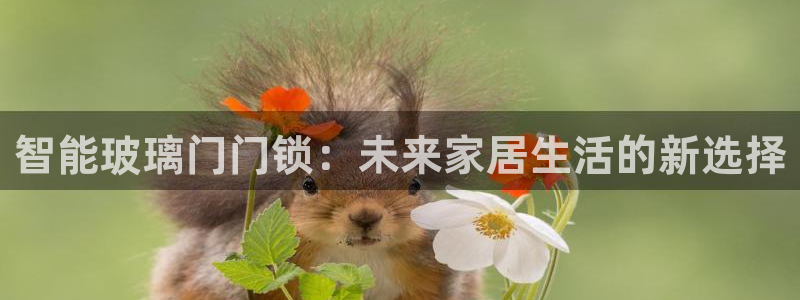 开丰娱乐登录网址：智能玻璃门门锁：未来家居生活的新选择