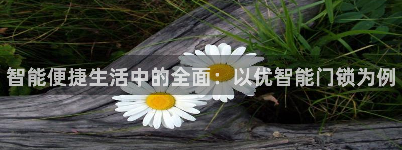 开丰娱乐联系q徽22212：智能便捷生活中的全面：以优智能门