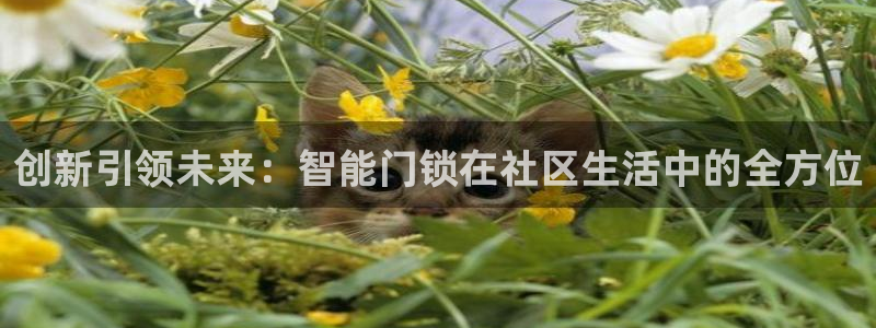 开丰娱乐官网平台电话：创新引领未来：智能门锁在社区生活中的全