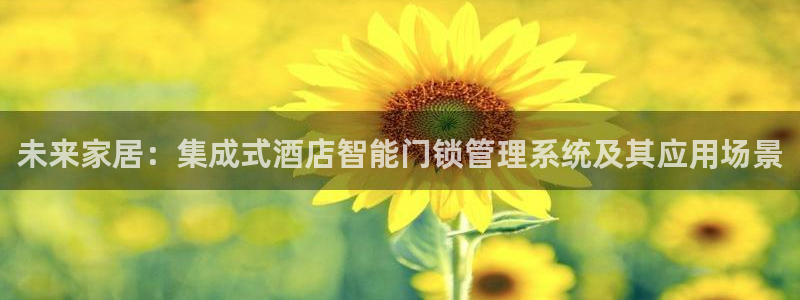 开丰娱乐趣 7O935：未来家居：集成式酒店智能门锁管理系统