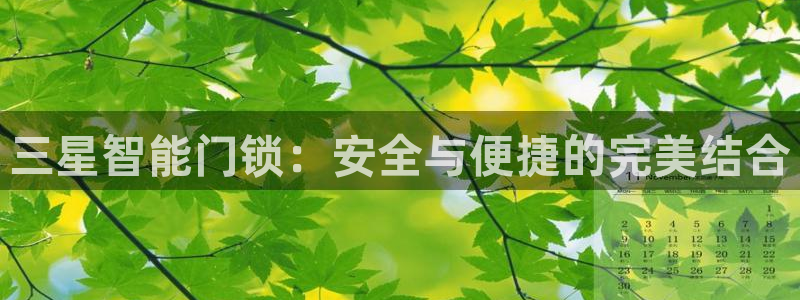 开丰娱乐官网平台登录：三星智能门锁：安全与便捷的完美结合