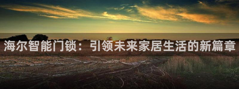 开丰娱乐科技：海尔智能门锁：引领未来家居生活的新篇章