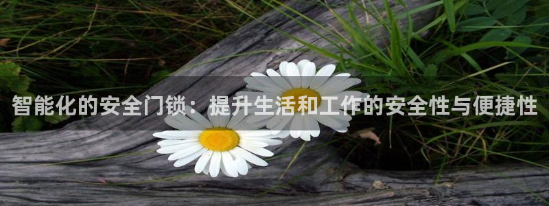 开丰娱乐官网平台：智能化的安全门锁：提升生活和工作的安全性与