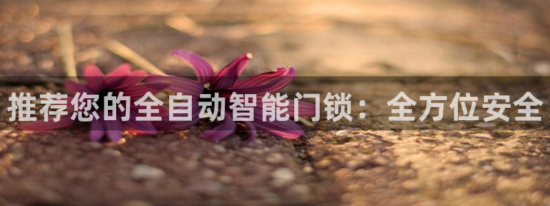 开丰娱乐登入：推荐您的全自动智能门锁：全方位安全