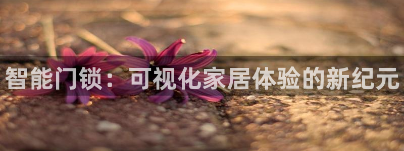 开丰娱乐天富娱乐：智能门锁：可视化家居体验的新纪元
