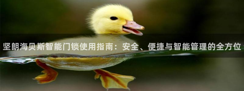 开丰娱乐网站官网下载：坚朗海贝斯智能门锁使用指南：安全、便捷