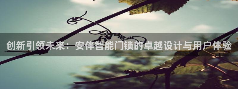 开丰娱乐平台注册：创新引领未来：安伴智能门锁的卓越设计与用户