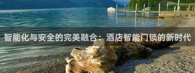 开丰娱乐登录地址入口：智能化与安全的完美融合：酒店智能门锁的