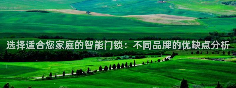 开丰娱乐月：选择适合您家庭的智能门锁：不同品牌的优缺点分析