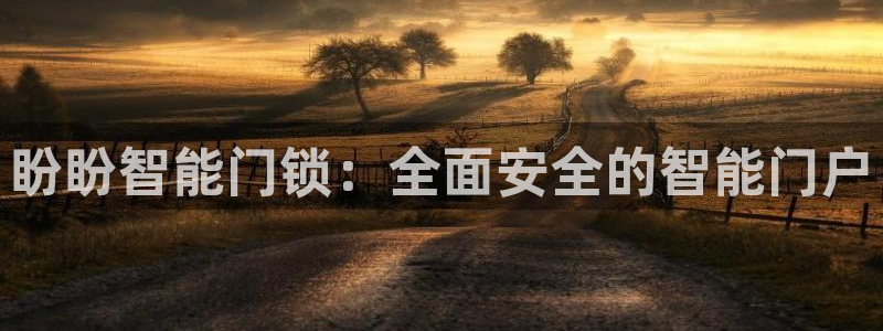 开丰娱乐怎么样：盼盼智能门锁：全面安全的智能门户