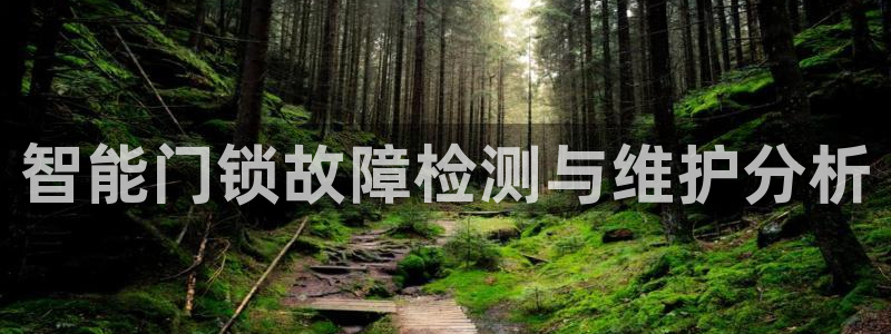 开丰娱乐网站官网入口：智能门锁故障检测与维护分析