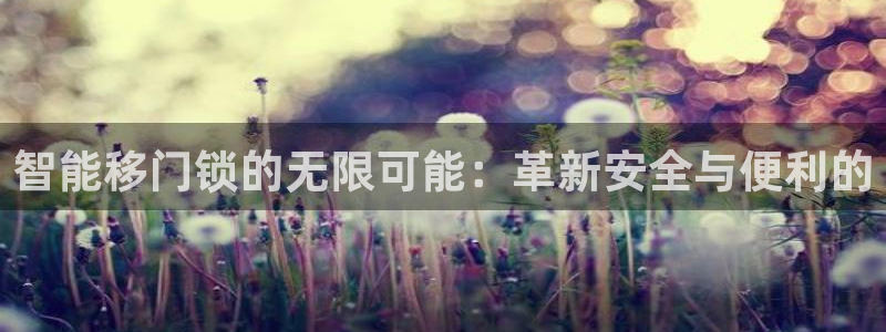 开丰娱乐注册资金多少：智能移门锁的无限可能：革新安全与便利的