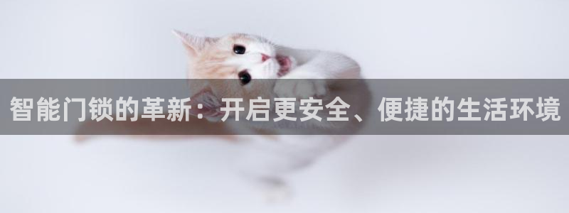 开丰娱乐地址：智能门锁的革新：开启更安全、便捷的生活环境