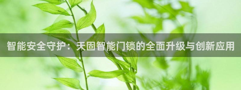 开丰娱乐平台地址