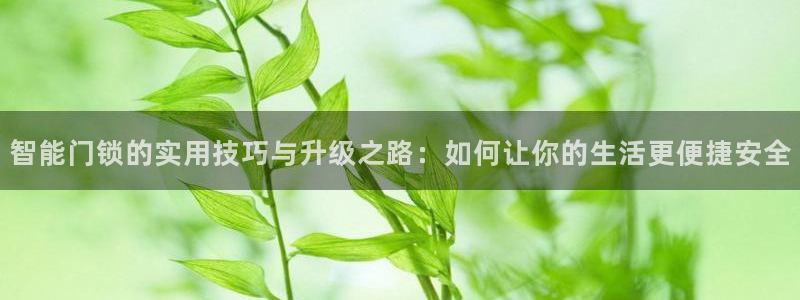 开丰娱乐注册：智能门锁的实用技巧与升级之路：如何让你的生活更