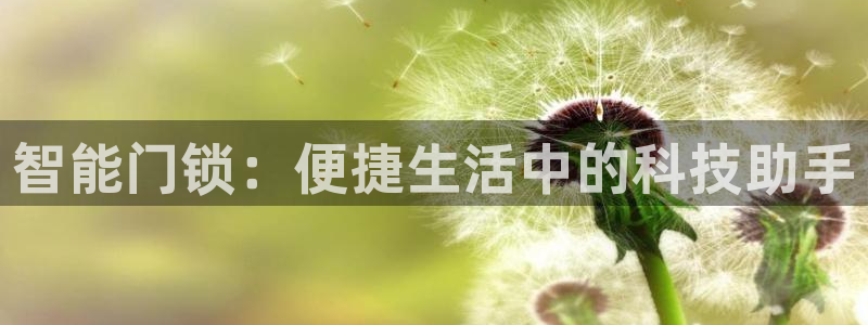 开丰娱乐平台地址在哪里：智能门锁：便捷生活中的科技助手