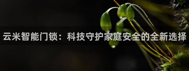 开丰娱乐注册资金多少：云米智能门锁：科技守护家庭安全的全新选