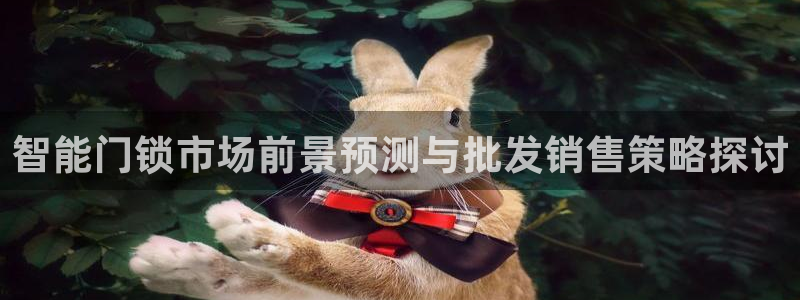 开丰娱乐测速：智能门锁市场前景预测与批发销售策略探讨
