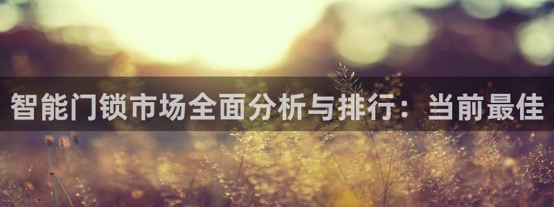 开丰娱乐app：智能门锁市场全面分析与排行：当前最佳