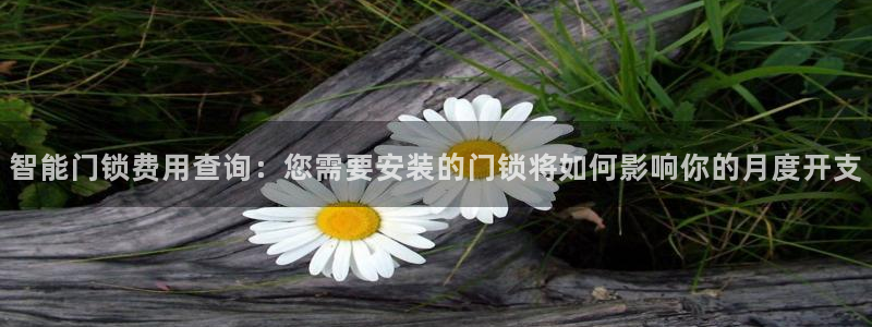 开丰娱乐官网平台网址：智能门锁费用查询：您需要安装的门锁将如