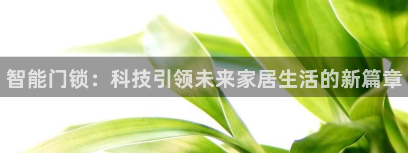 开丰娱乐月7O667：智能门锁：科技引领未来家居生活的新篇章