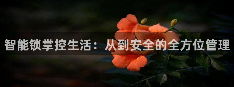 开丰娱乐测速：智能锁掌控生活：从到安全的全方位管理