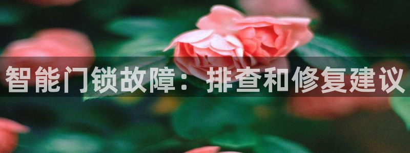 开丰娱乐登录平台：智能门锁故障：排查和修复建议