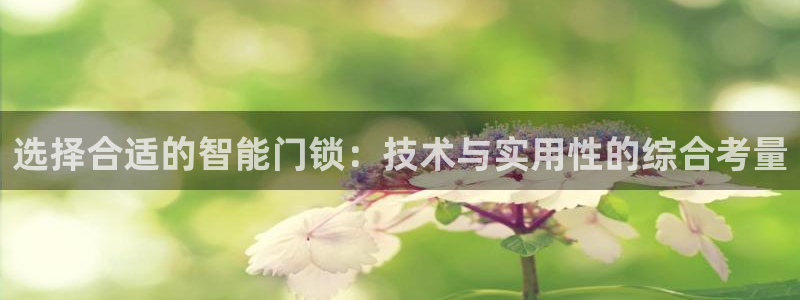 开丰娱乐登入地址在哪里：选择合适的智能门锁：技术与实用性的综