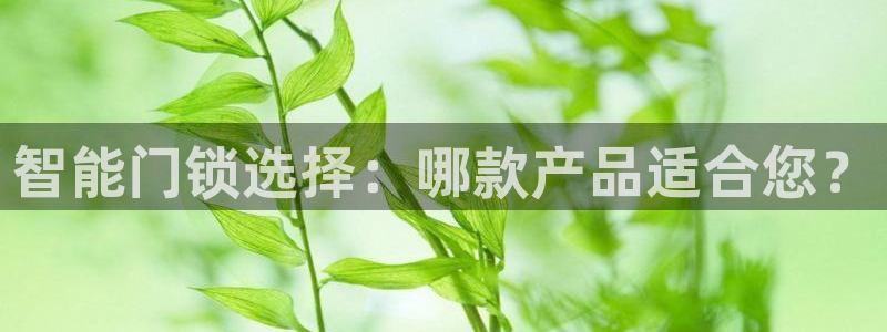 开丰娱乐平台提现失败：智能门锁选择：哪款产品适合您？