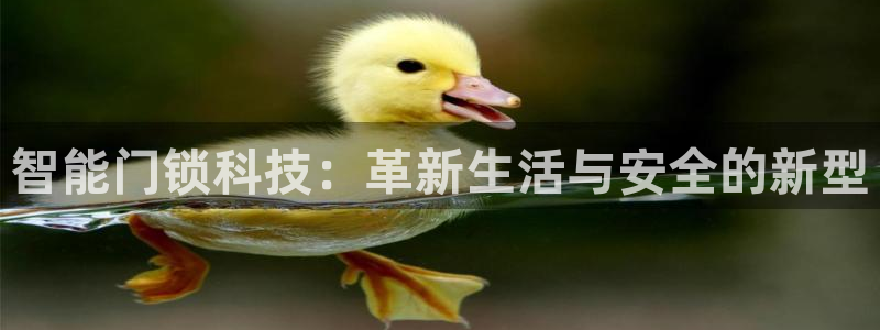 开丰娱乐登入地址在哪里：智能门锁科技：革新生活与安全的新型