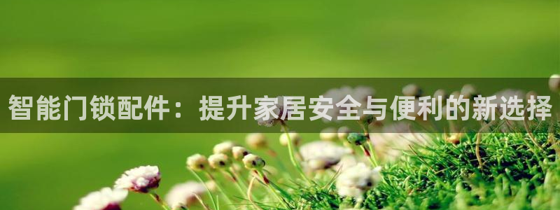 开丰娱乐登录地址入口：智能门锁配件：提升家居安全与便利的新选