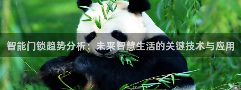 开丰娱乐注册登录不了：智能门锁趋势分析：未来智慧生活的关键技