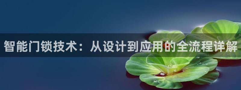 开丰娱乐登入：智能门锁技术：从设计到应用的全流程详解