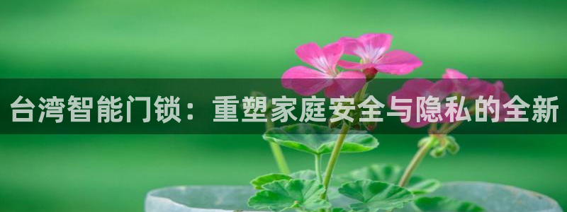 开丰娱乐左7O667：台湾智能门锁：重塑家庭安全与隐私的全新
