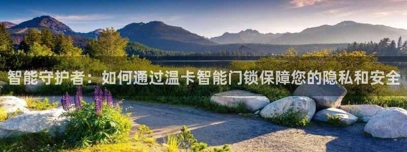 开丰娱乐联系q徽22212：智能守护者：如何通过温卡智能门锁