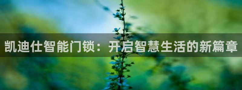 开丰娱乐最新活动：凯迪仕智能门锁：开启智慧生活的新篇章