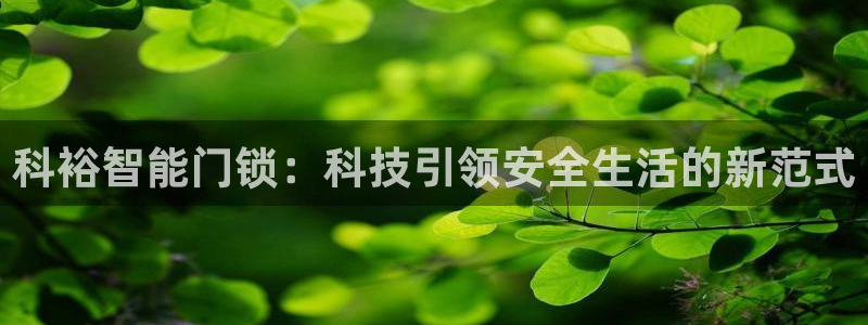 开丰娱乐怎么开转点：科裕智能门锁：科技引领安全生活的新范式
