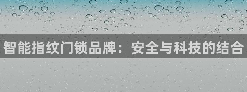 开丰娱乐网站官网下载：智能指纹门锁品牌：安全与科技的结合