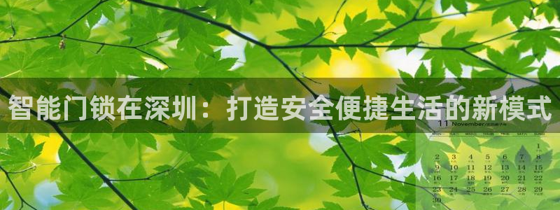 开丰娱乐平台地址：智能门锁在深圳：打造安全便捷生活的新模式