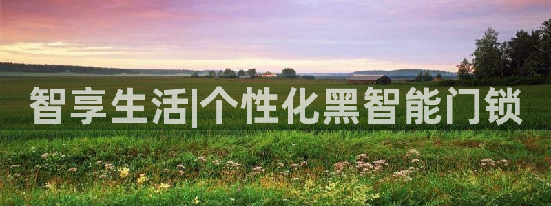开丰娱乐主管家去判官333OO：智享生活|个性化黑智能门锁