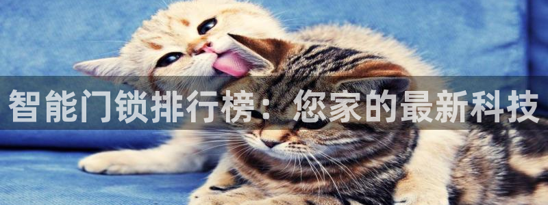 开丰娱乐怎么样：智能门锁排行榜：您家的最新科技
