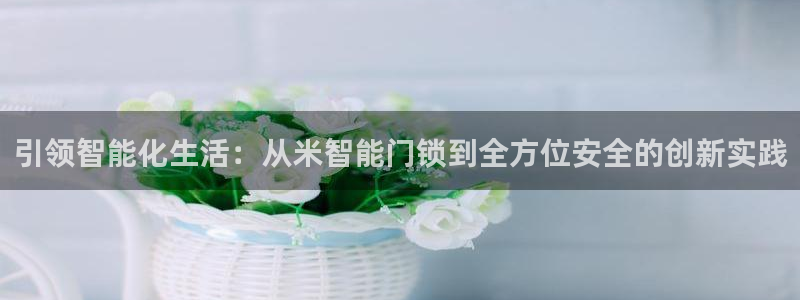 开丰娱乐登入地址：引领智能化生活：从米智能门锁到全方位安全的
