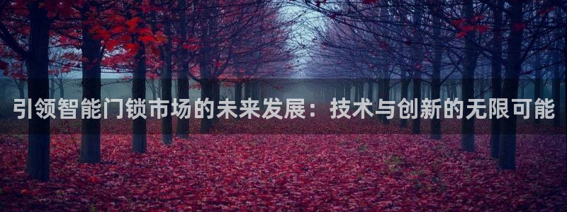 开丰娱乐注册：引领智能门锁市场的未来发展：技术与创新的无限可