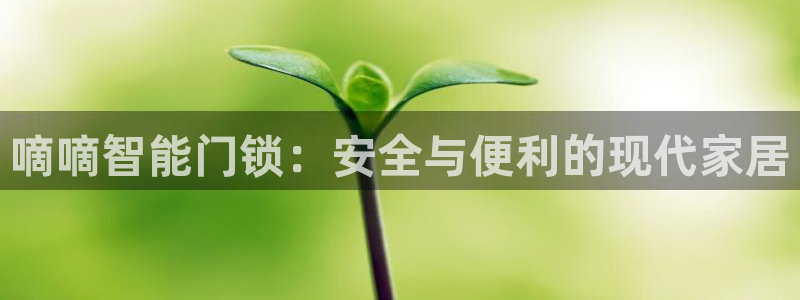 开丰娱乐注册电7O777：嘀嘀智能门锁：安全与便利的现代家居