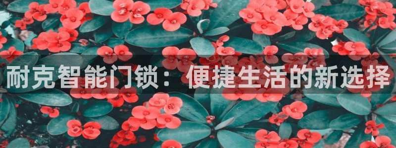开丰娱乐注册资金多少：耐克智能门锁：便捷生活的新选择