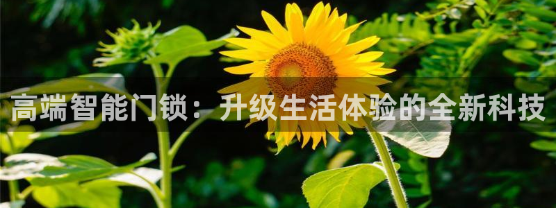 开丰娱乐体育平台：高端智能门锁：升级生活体验的全新科技