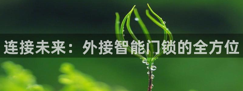 开丰娱乐平台登录网址：连接未来：外接智能门锁的全方位
